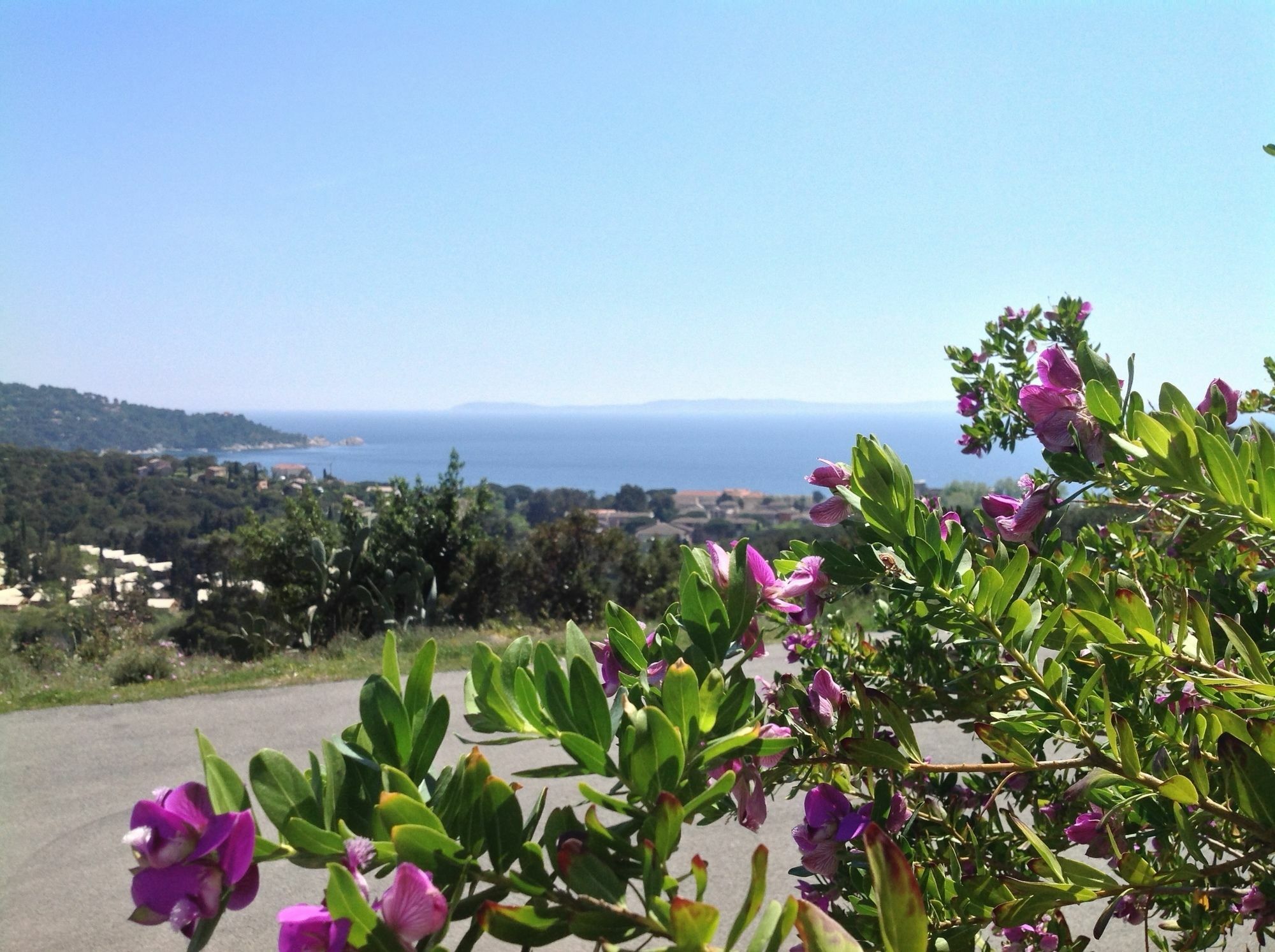 Azur Hotel Le Lavandou Exteriér fotografie