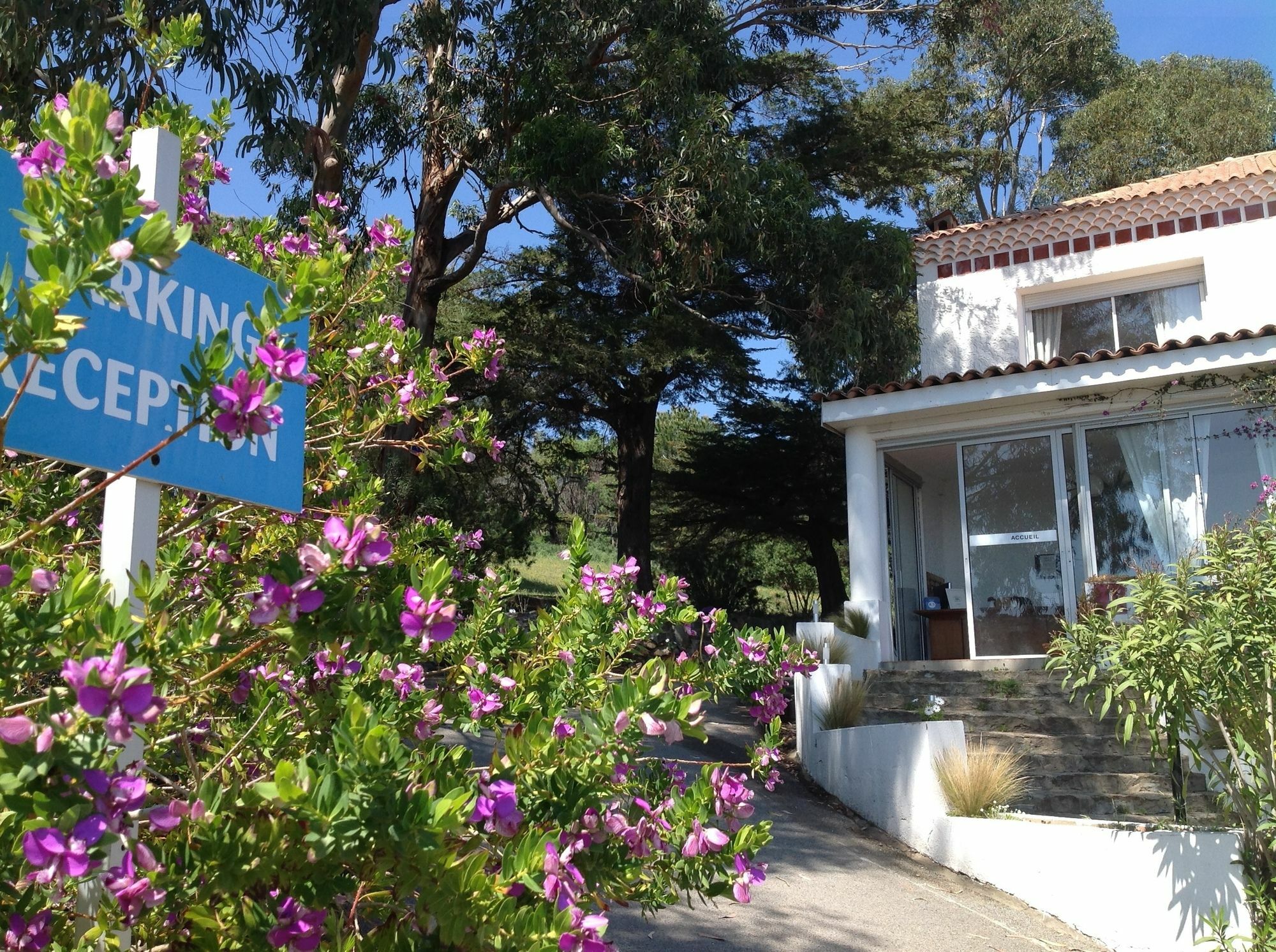 Azur Hotel Le Lavandou Exteriér fotografie