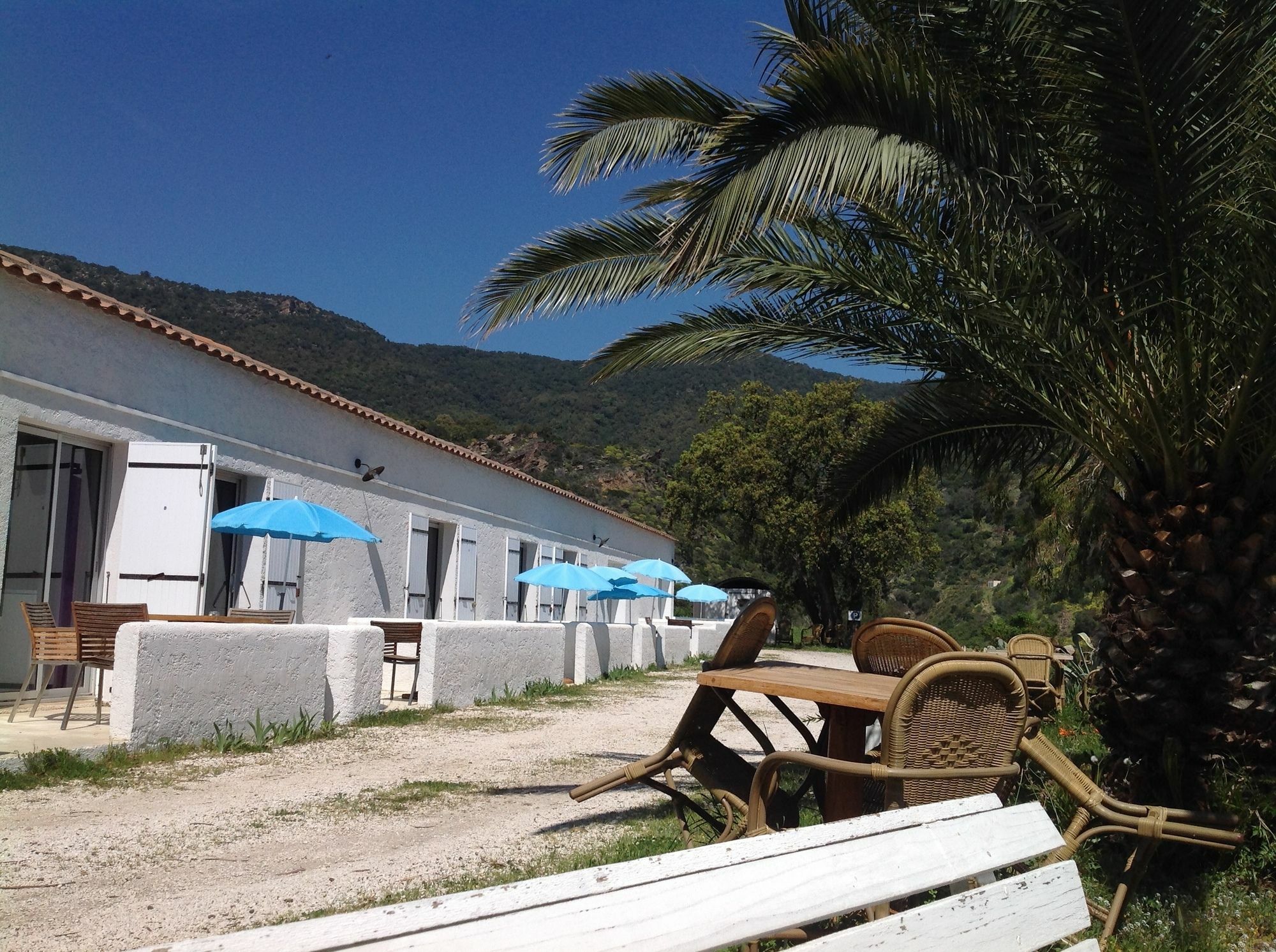 Azur Hotel Le Lavandou Exteriér fotografie